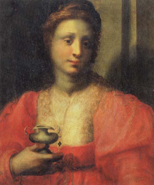 PULIGO, Domenico Portrait of a Woman Dressed as Mary Magdalen